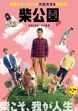 特黄特黄aaaa级毛片免费看