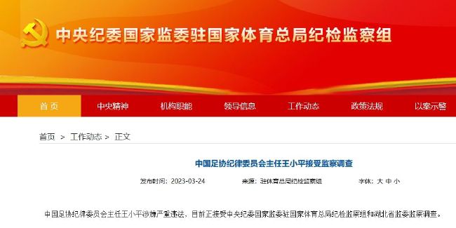 国产偷在线