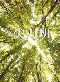国产成人高清